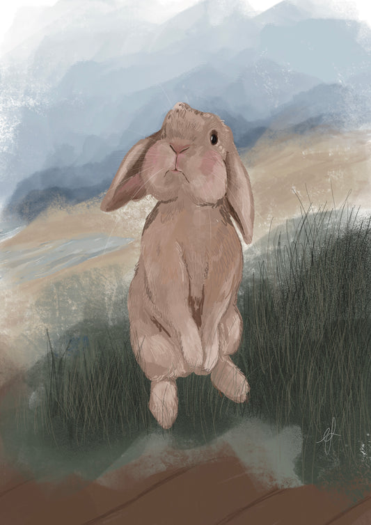 Barleycove Bunny